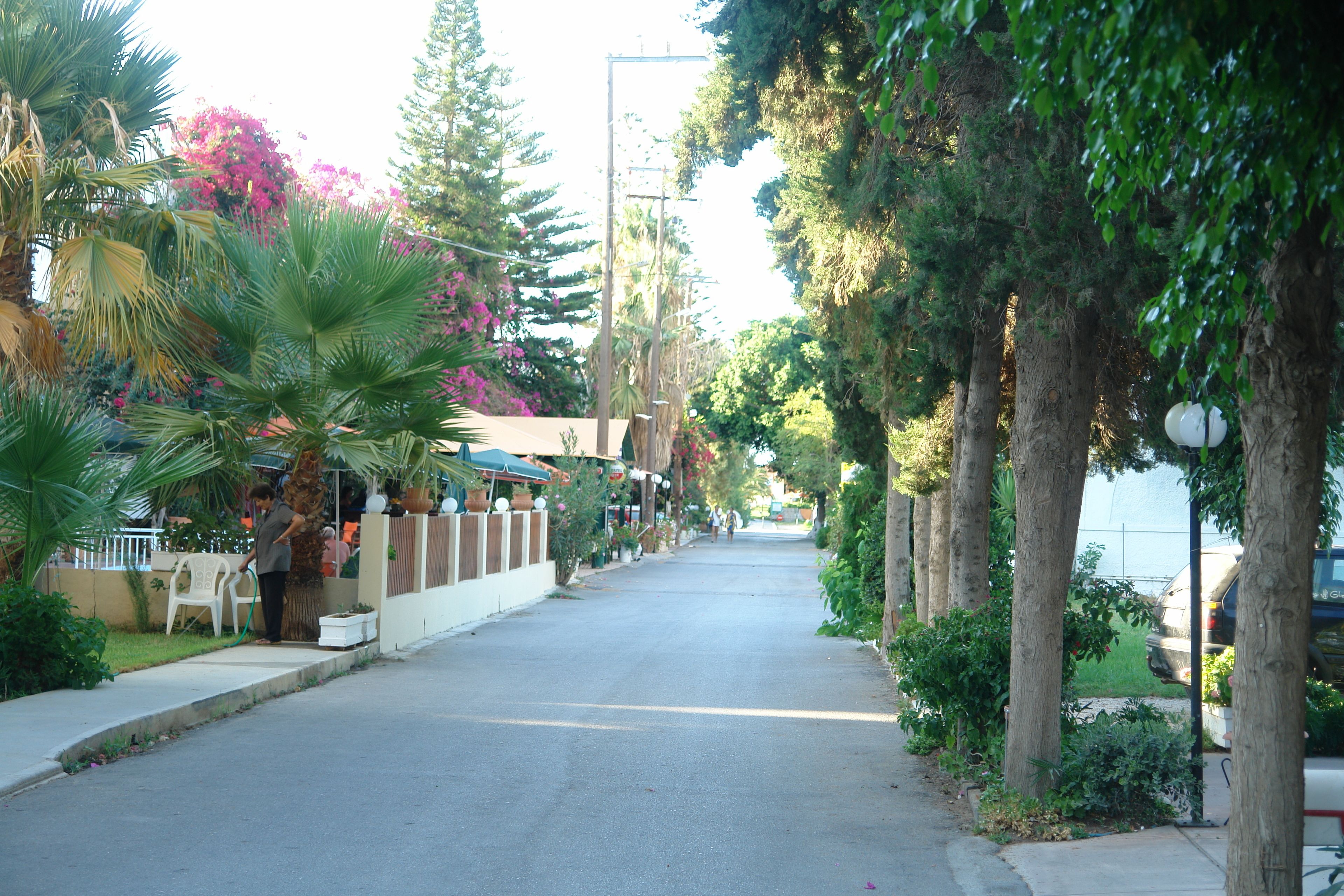 Un carrer arbrat amb cotxes aparcats i una cadira de plàstic blanca a la vorera.
