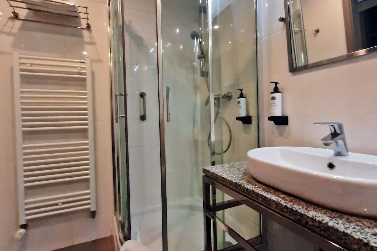 shower, free toiletries, hair dryer, towels