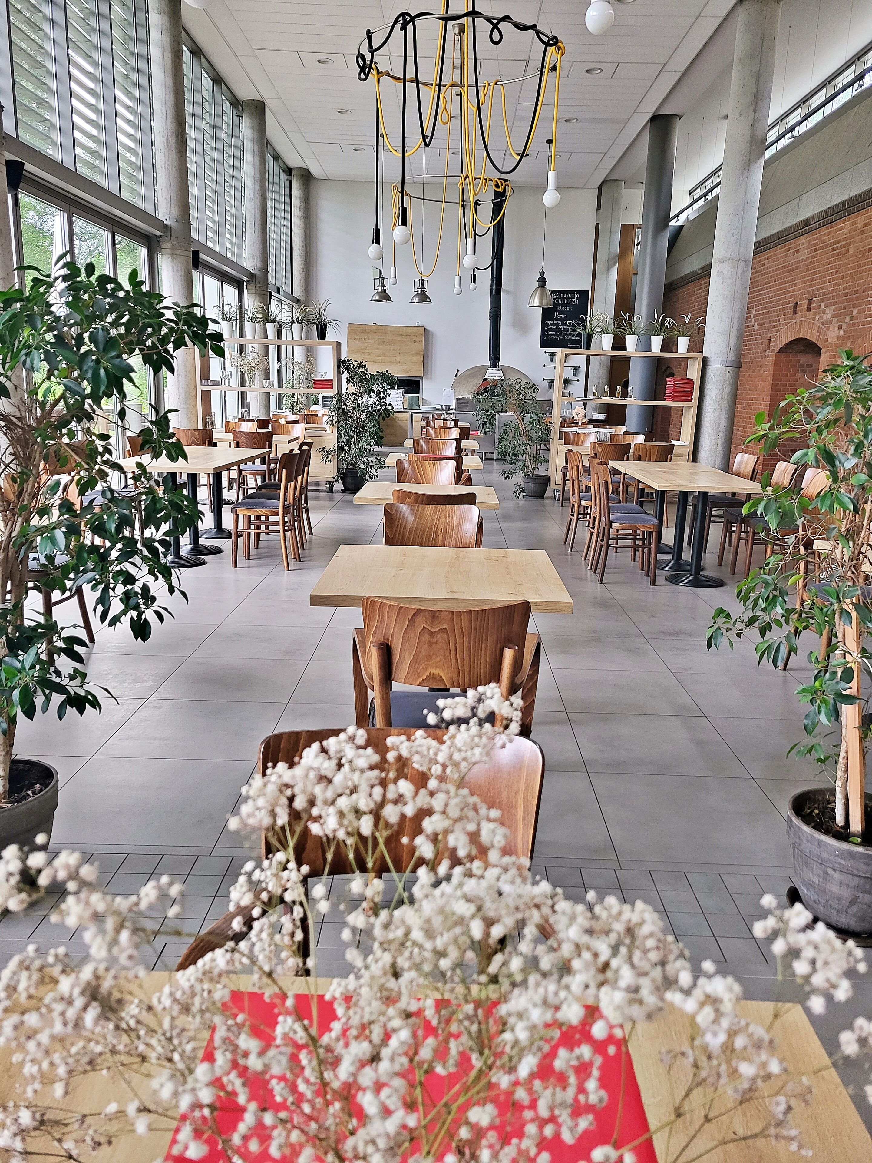 Foto - Hotel Forza
