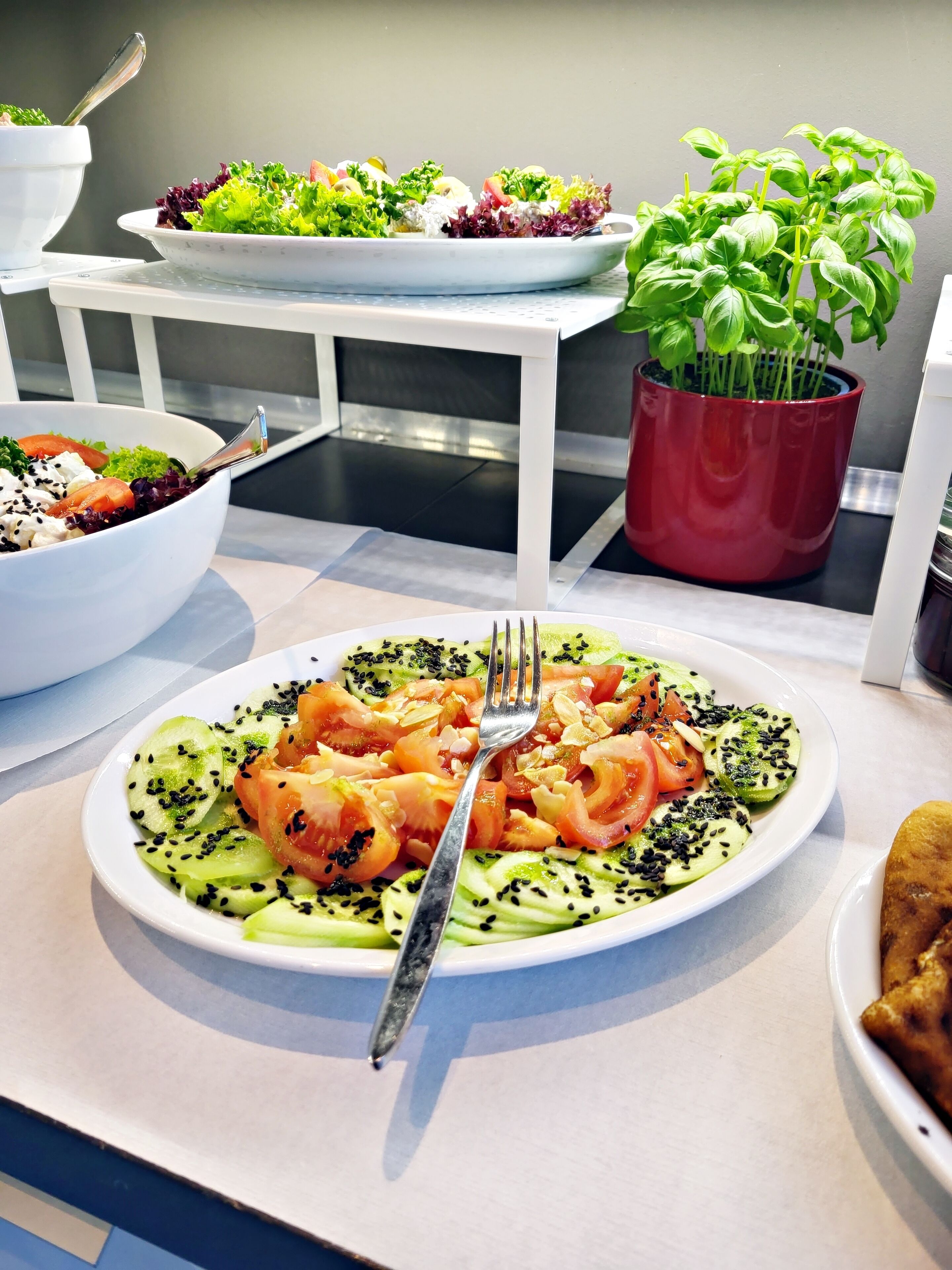 A dining table with various dishes, including a plate of salmon salad, a bowl of mixed greens, and a red pot with basil plants.