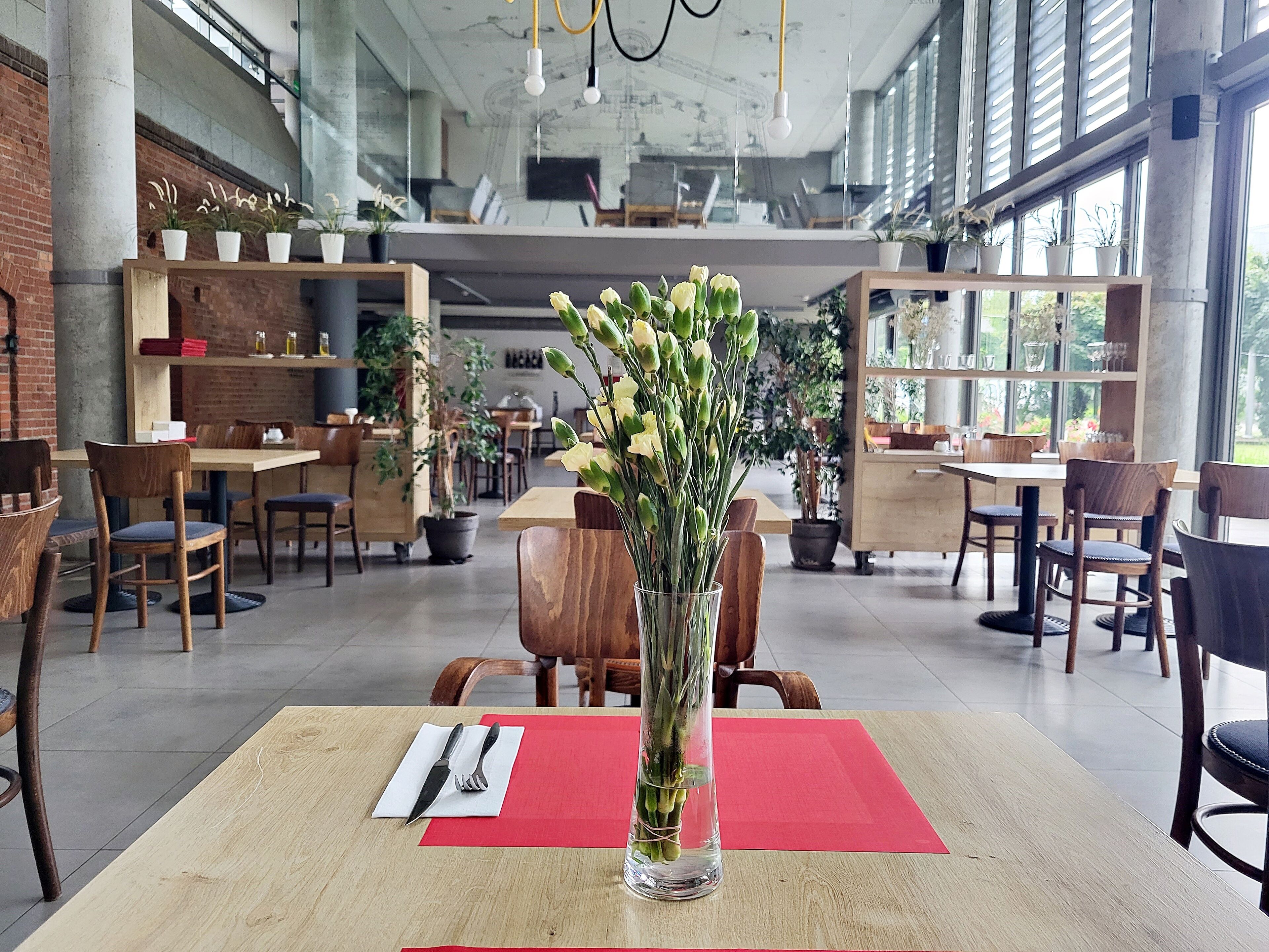 international cuisine