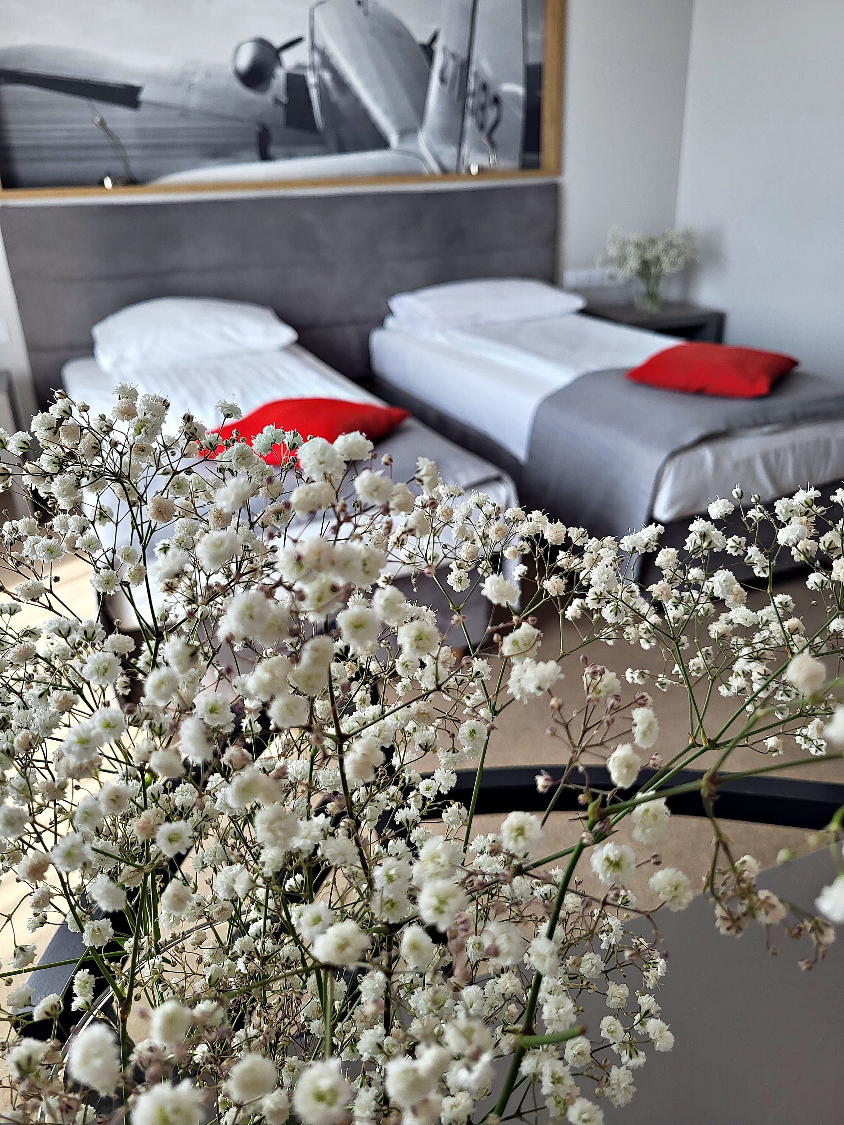 Foto - Hotel Forza