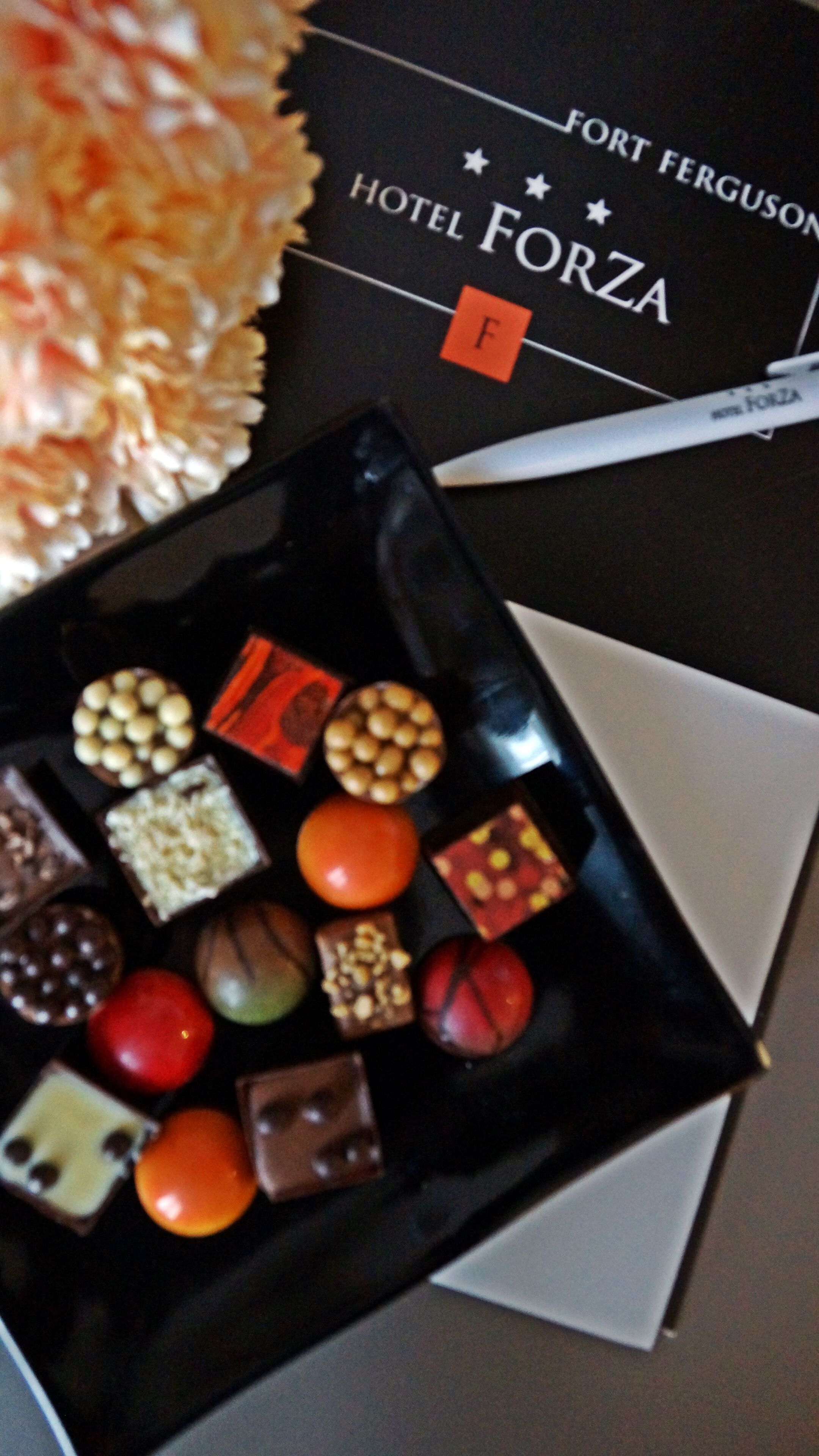 Photo - Hotel Forza