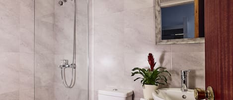 A modern bathroom with a shower, toilet, sink, and a potted plant.