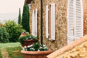 Exterior - Poggio Cornetto (Bibbona)