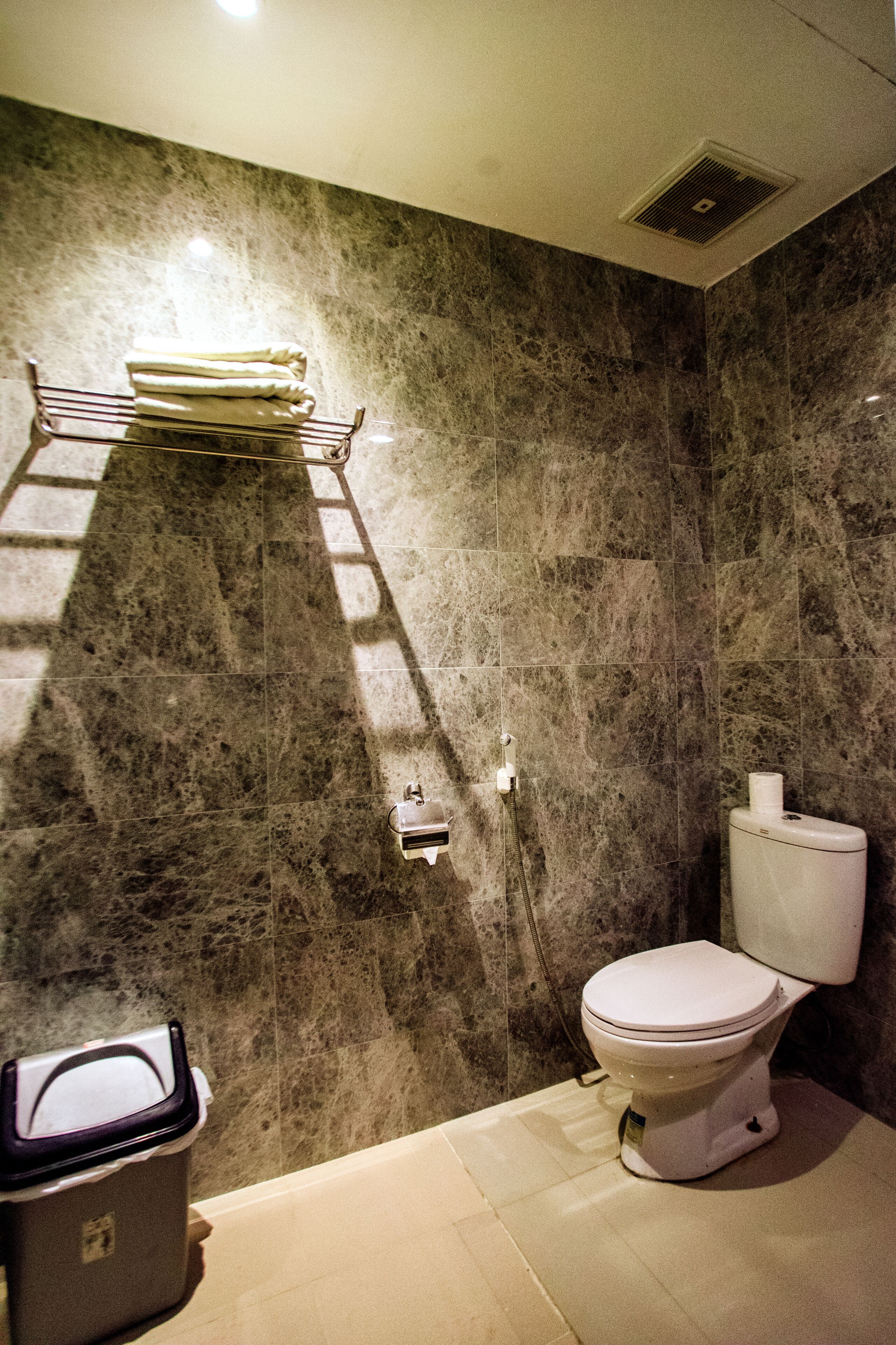 Ein Badezimmer mit Marmorwand, Toilette, Mülleimer und Handtuchhalter.