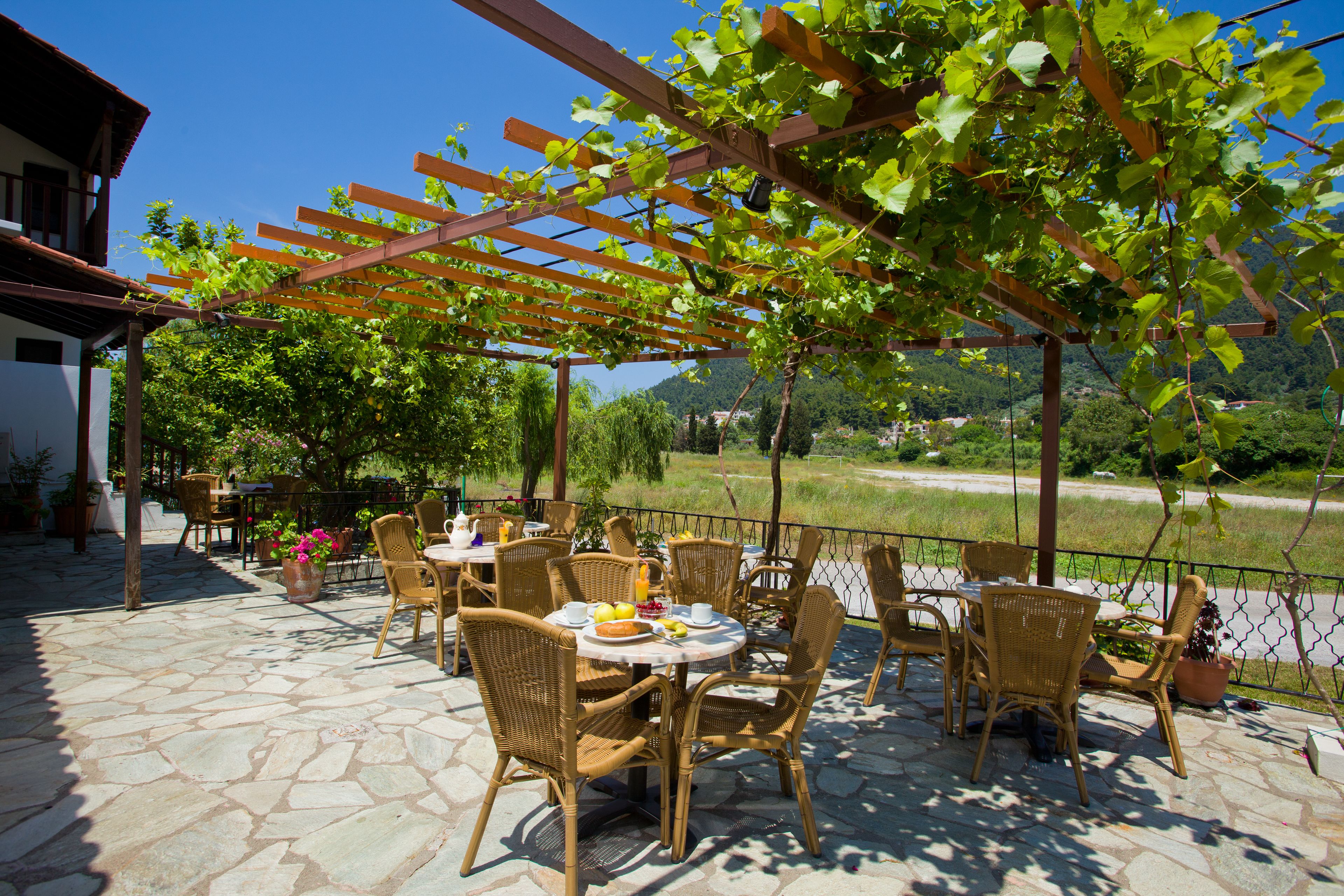 An outdoor patio with wicker furniture and a pergola covered with vines.