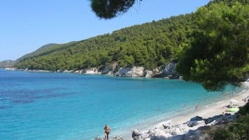 Playa en los alrededores, camastros y pesca 