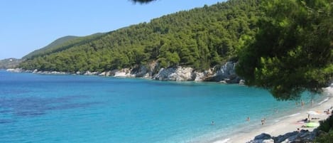 Beach nearby, sun loungers, fishing