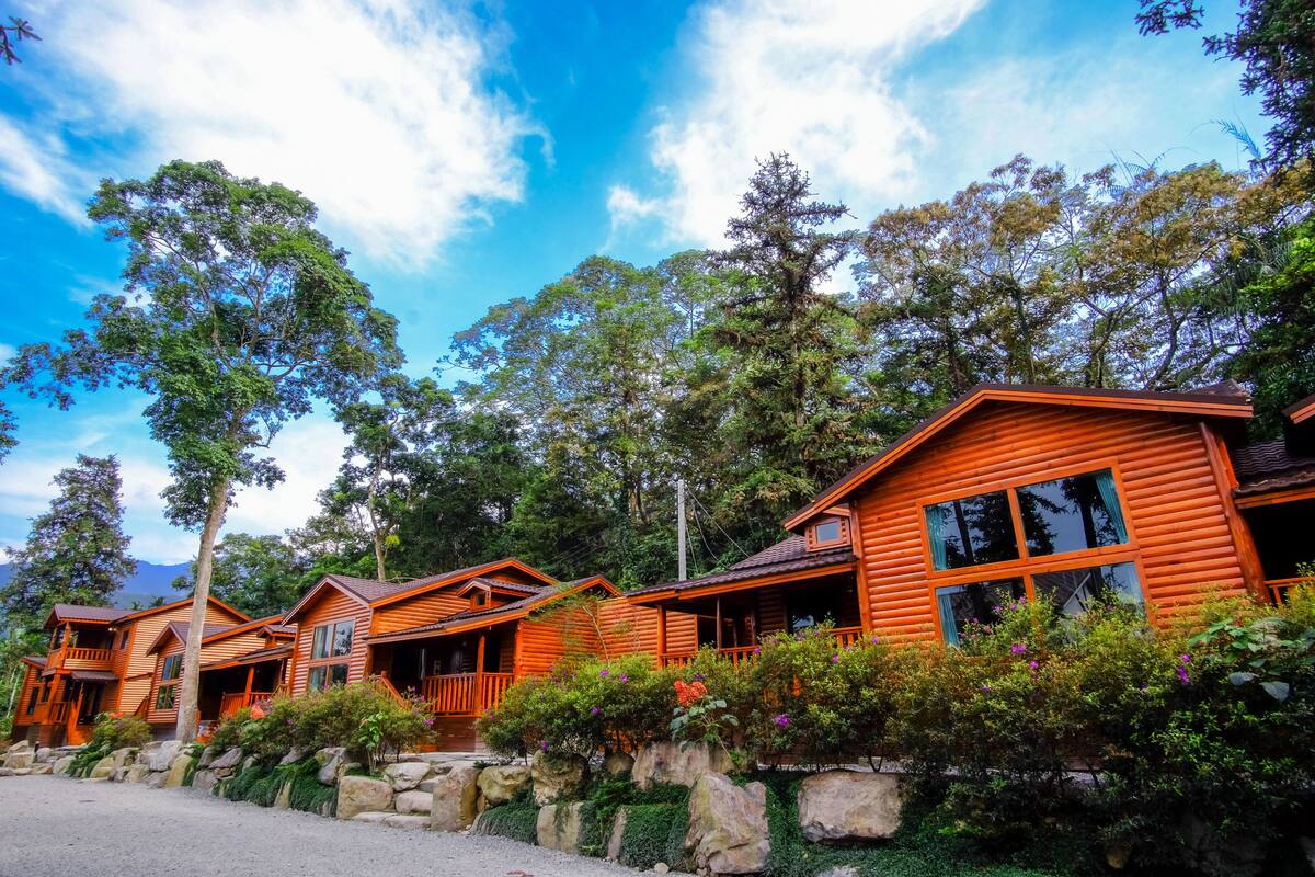 A row of wooden cabins with balconies, surrounded by lush greenery and trees.
