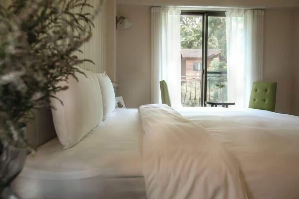 Desk, free WiFi, bed sheets