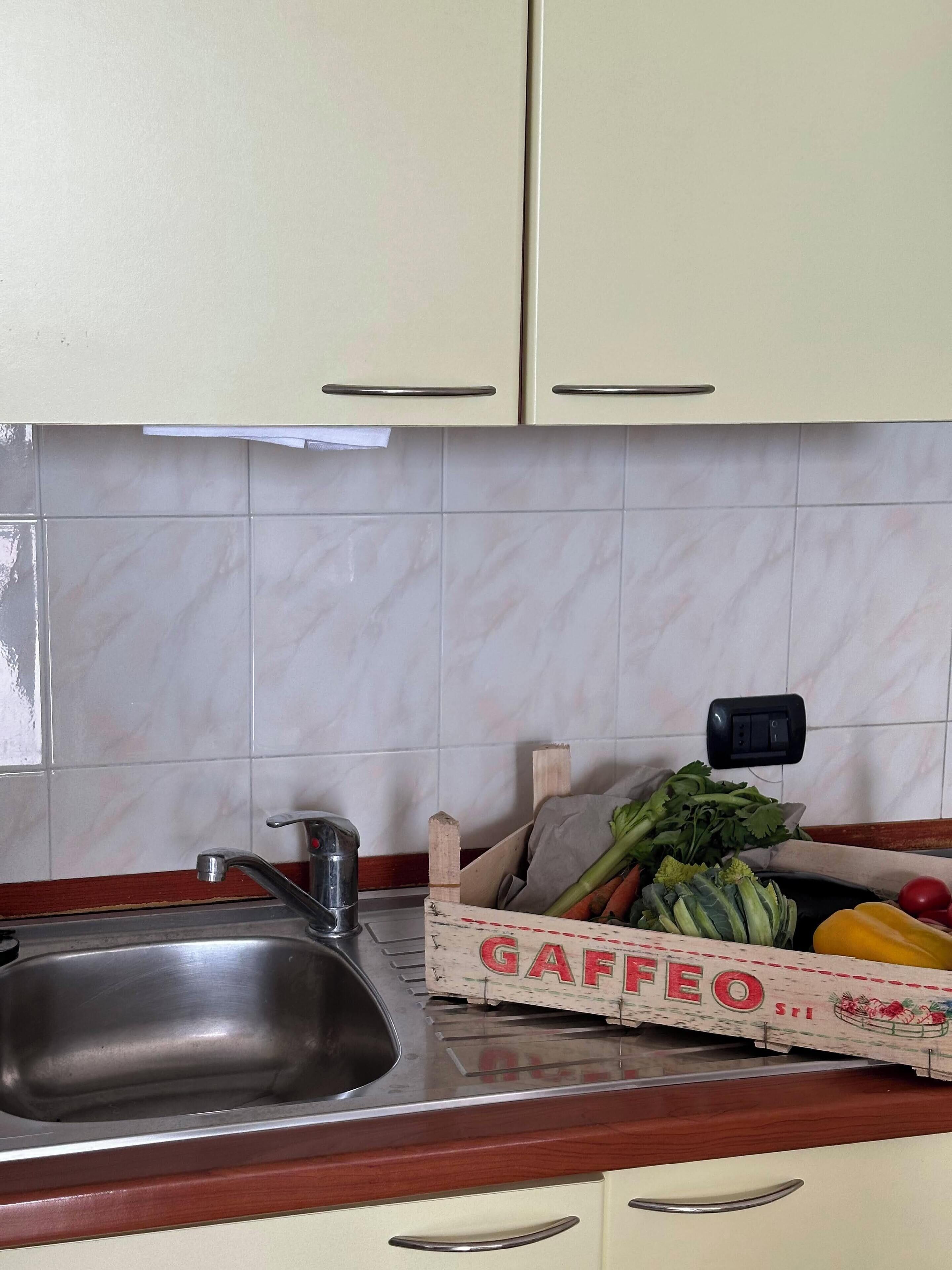 Una cocina con un lavamanos de acero inoxidable, una encimera de madera y una caja con la etiqueta 'GAFFECO' que contiene verduras.
