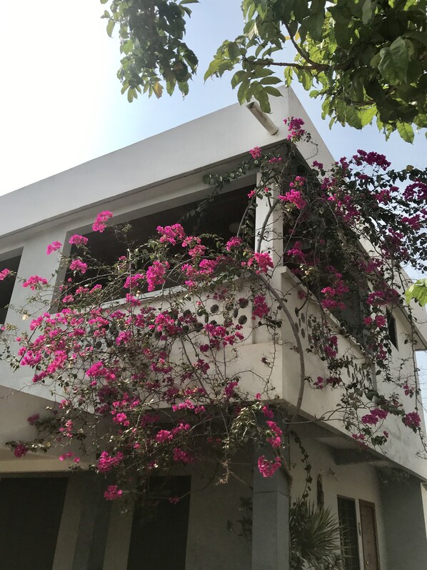 Façade de l’hébergement