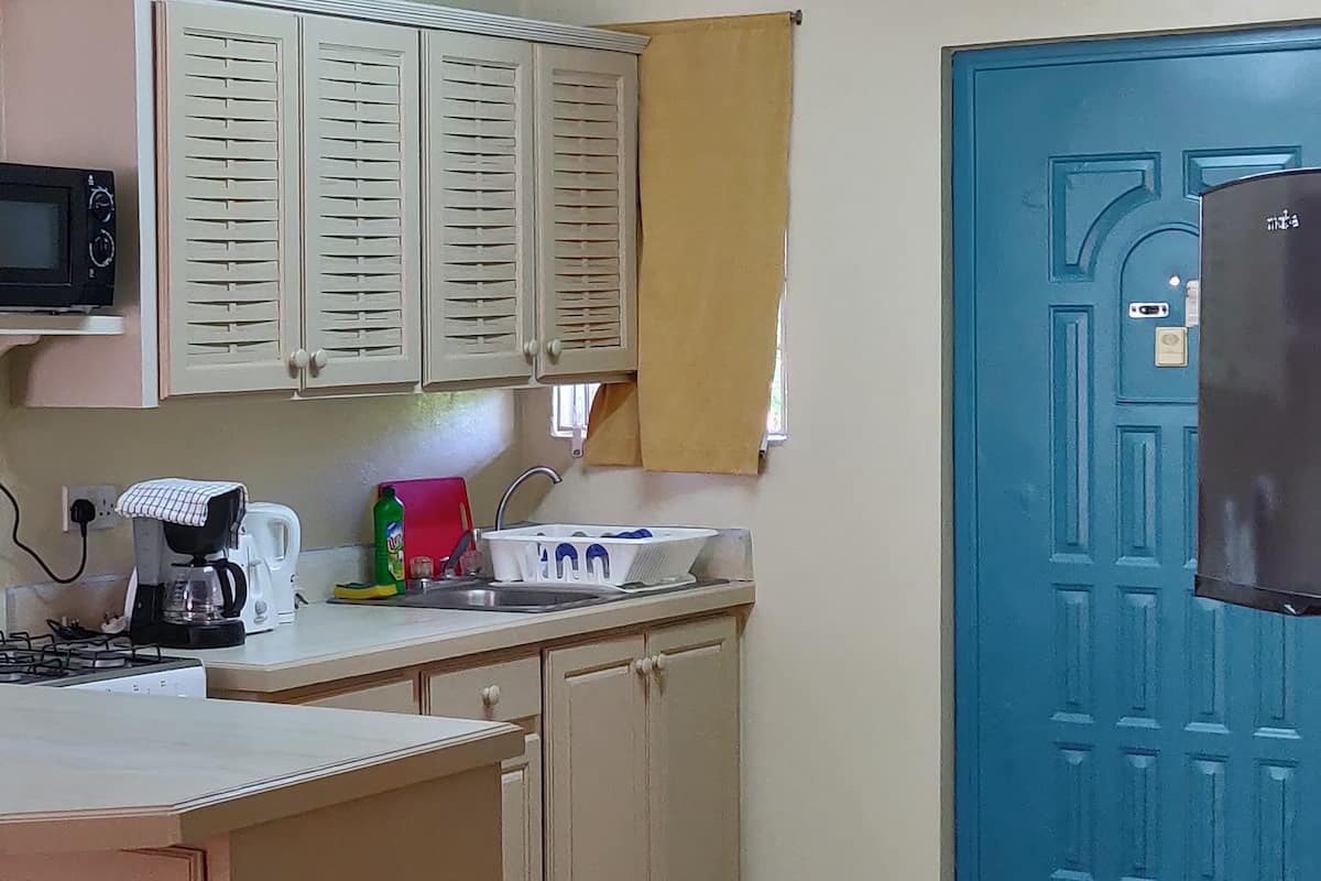 Departamento de lujo, 1 habitación, cocineta, vista al patio | Cocineta privada | Refrigerador, microondas, horno y parrilla de estufa
