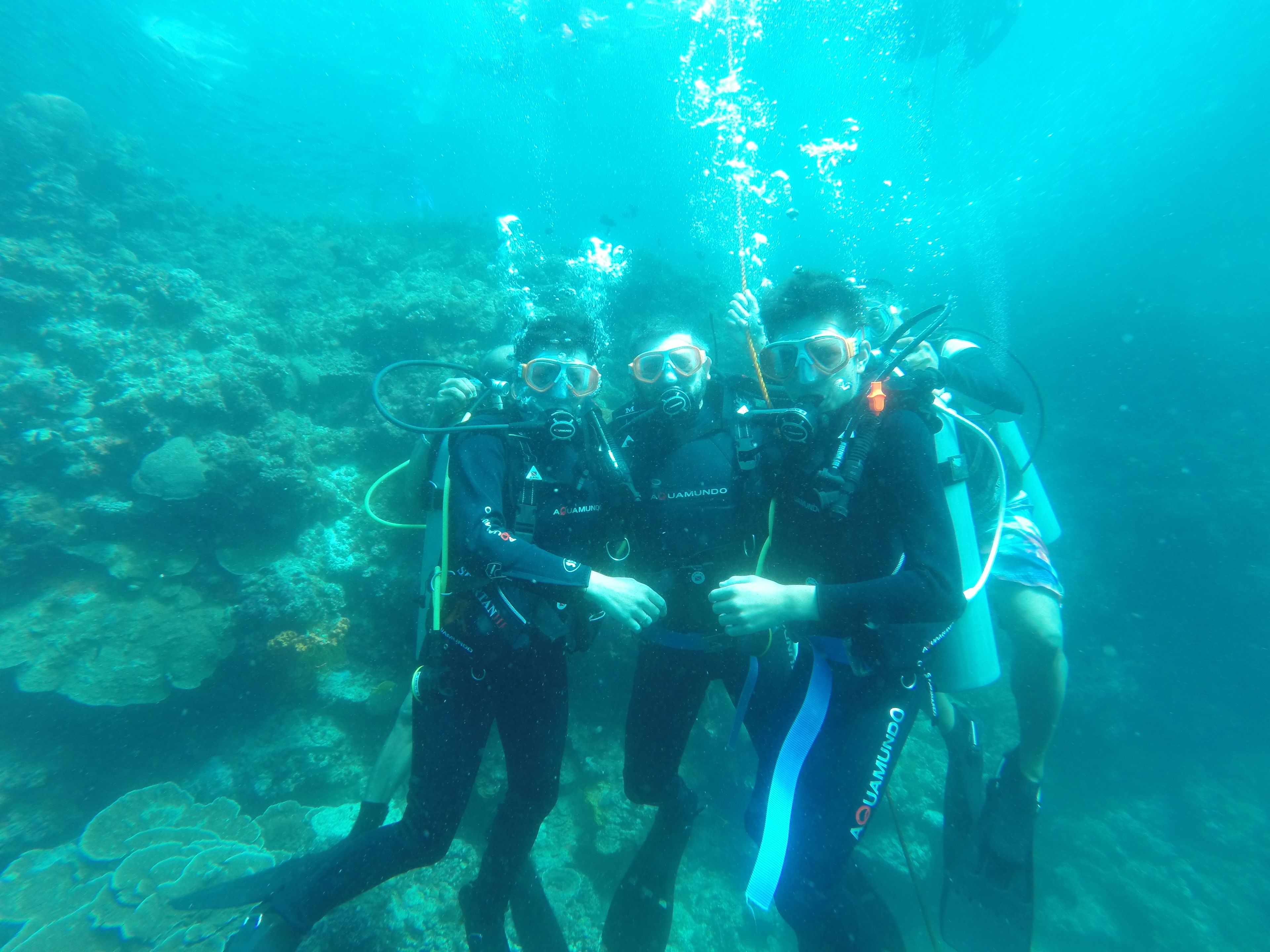 A group of scuba divers underwater with coral formations in the background.