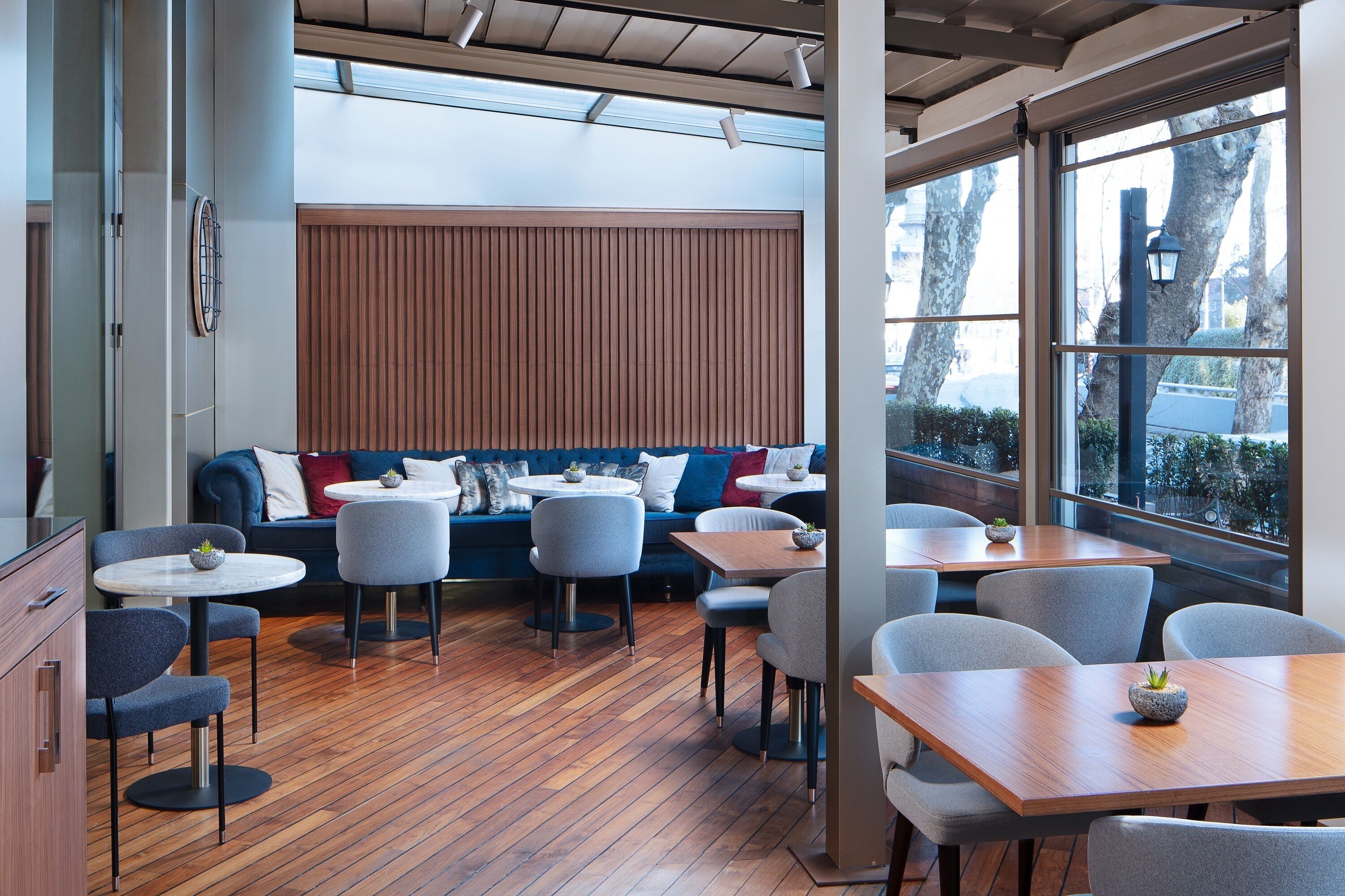 Un interior moderno con piso de madera, un sofá azul con cojines y una mesa de madera con una planta.