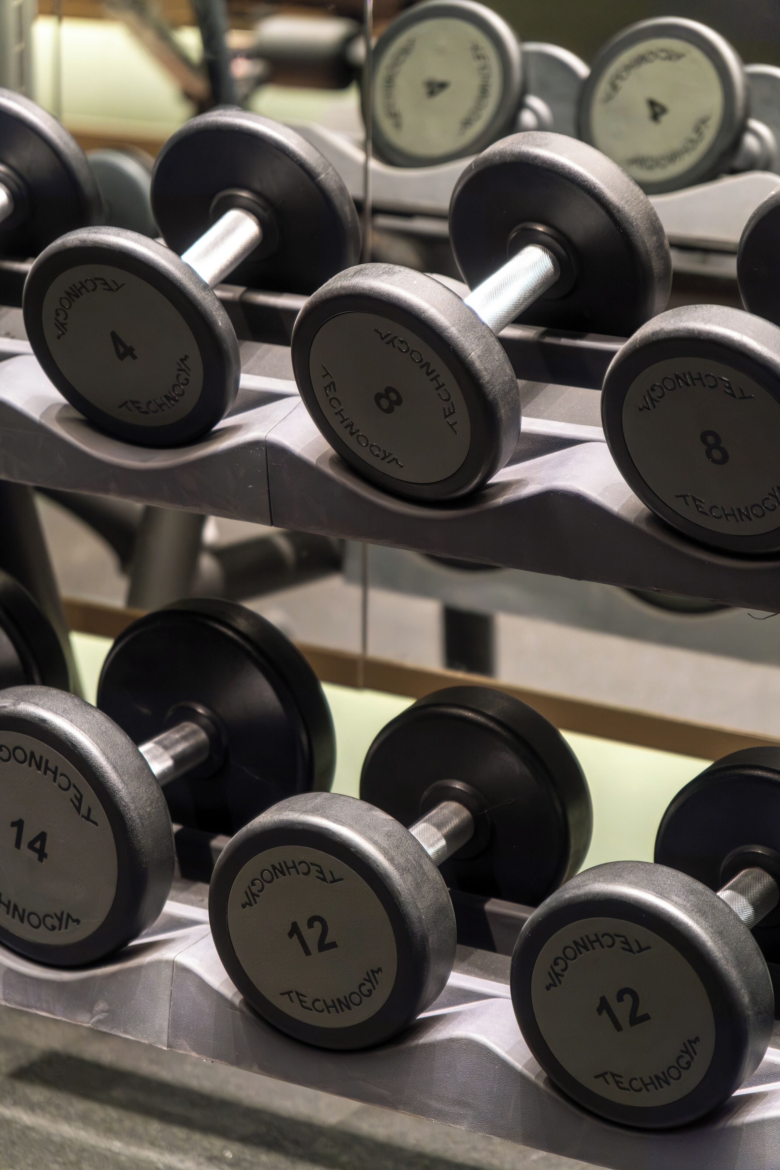 A rack of dumbbells with weights labeled from 4 to 14.