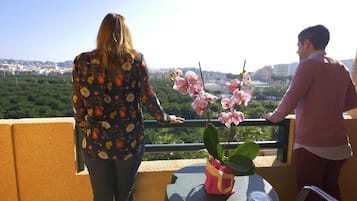 Vista del balcón
