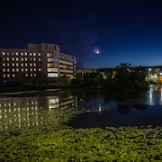 Memorial University