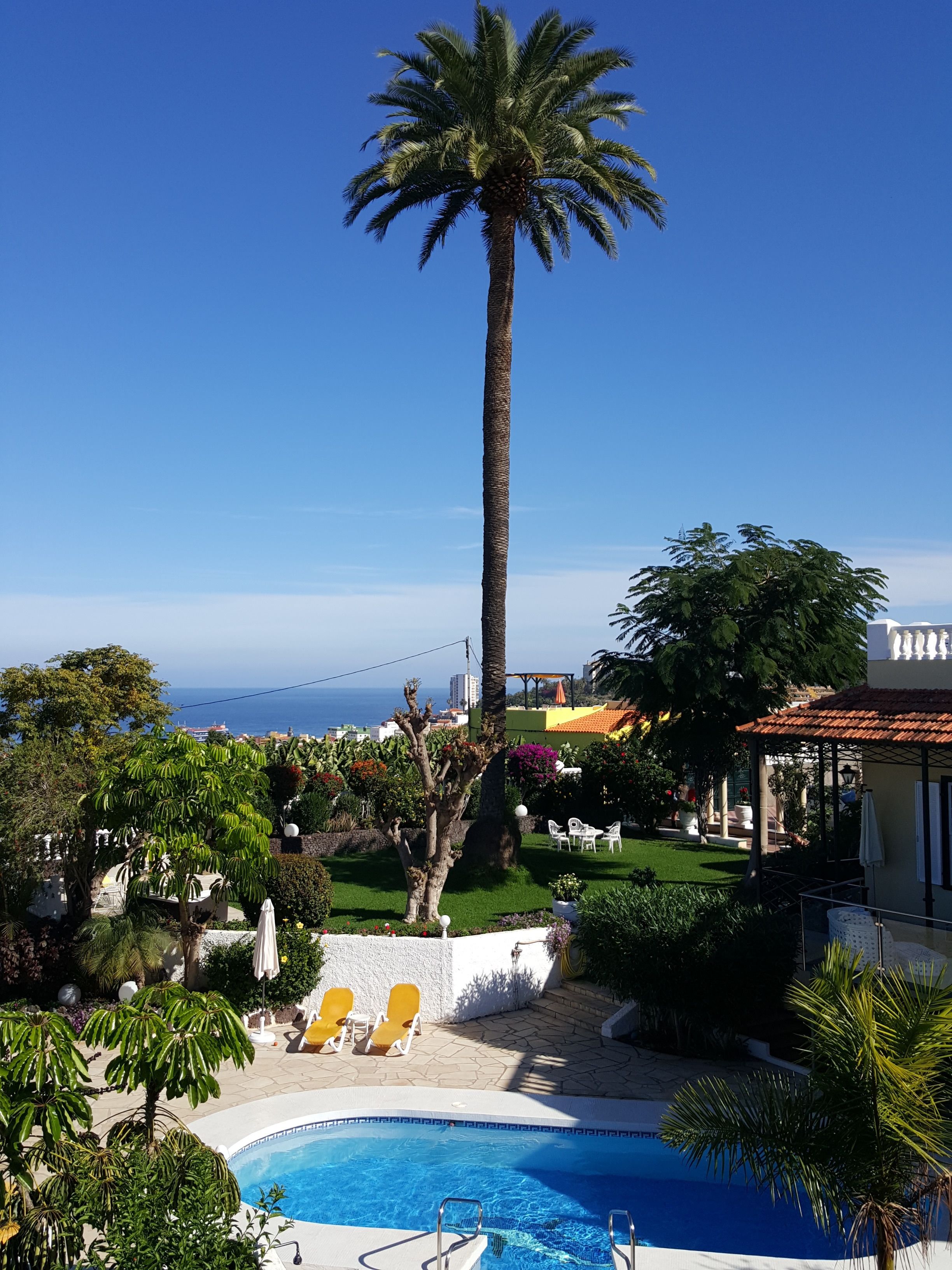 outdoor pool, pool umbrellas, pool loungers