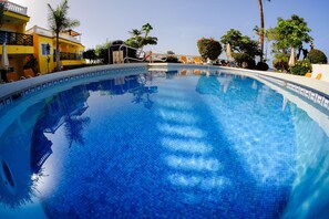 Outdoor pool, pool umbrellas, pool loungers