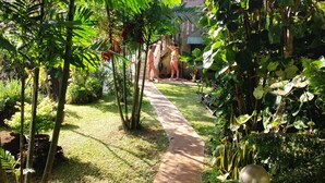 A garden pathway surrounded by lush greenery and trees. - Romance Bungalows  (Mahé Island)