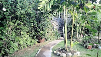Jardin