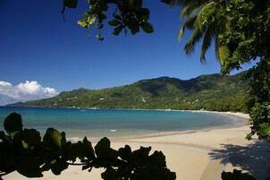 Beach nearby, white sand