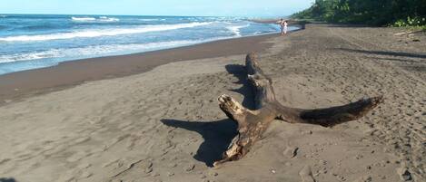 A sandy beach with a large driftwood piece in the foreground and footprints leading to the water.