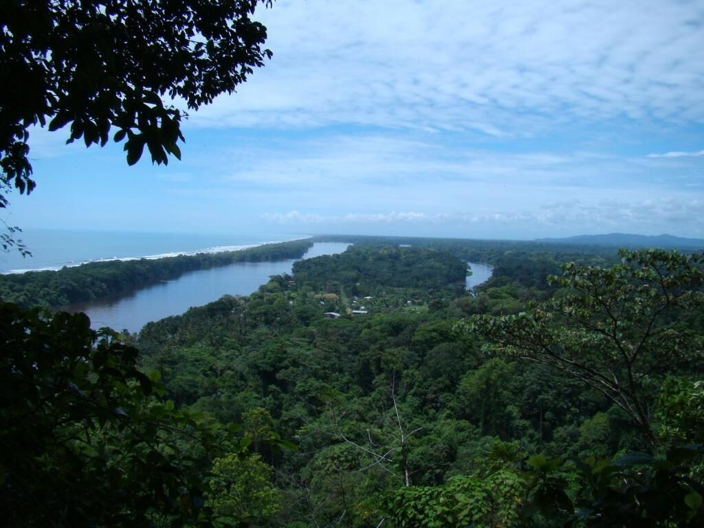 Un paisaje costero con un bosque denso, un río y una línea de costa distante.