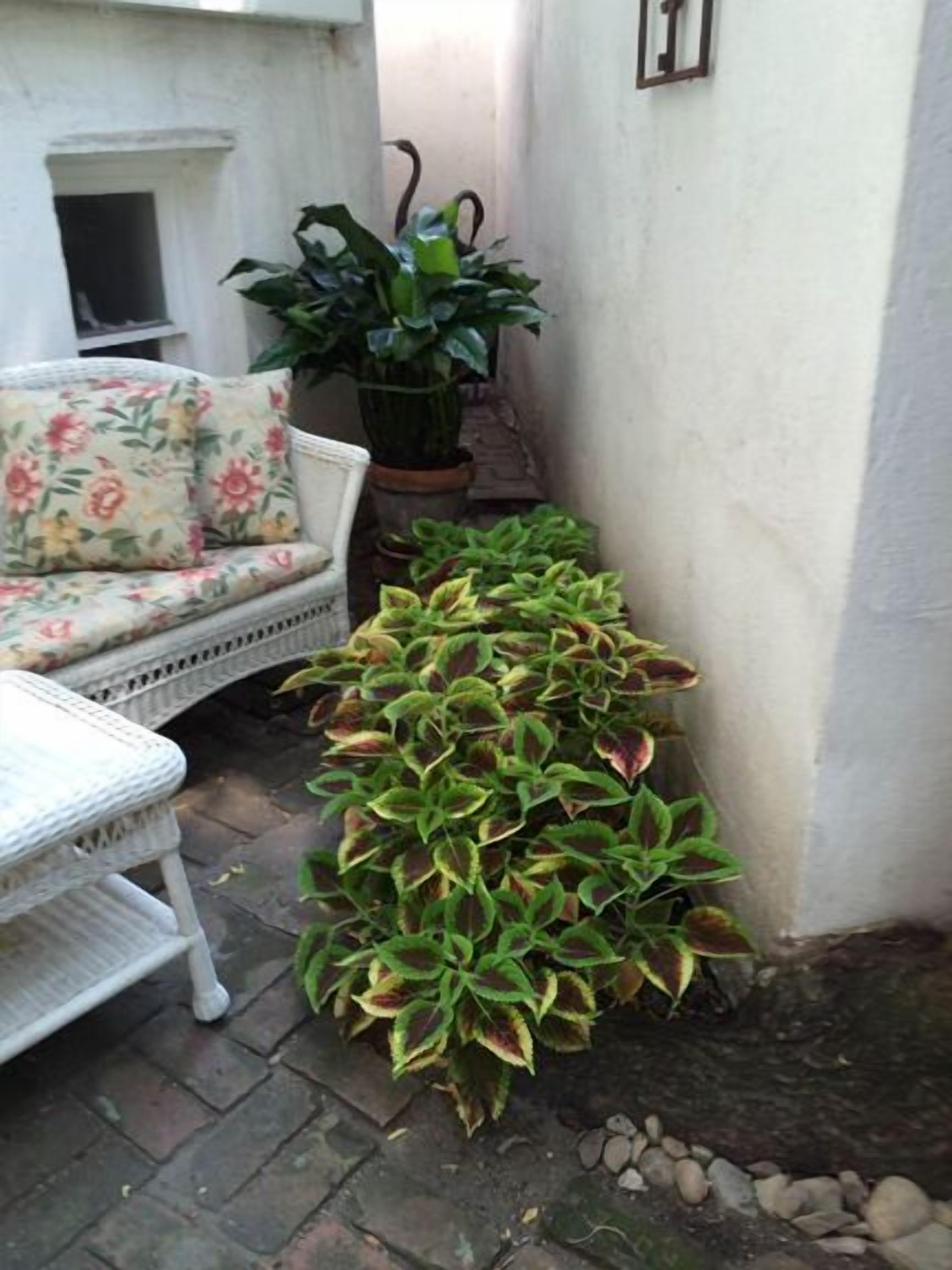 Foto - Incentra Village Hotel