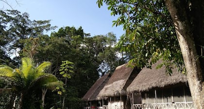 Jungle Wolf Expeditions