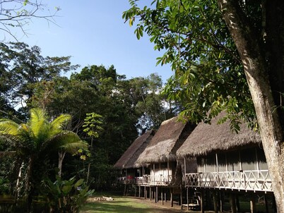 Jungle Wolf Expeditions
