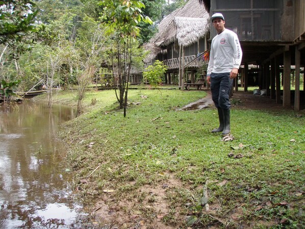 Building design - Jungle Wolf Expeditions (Saquena)