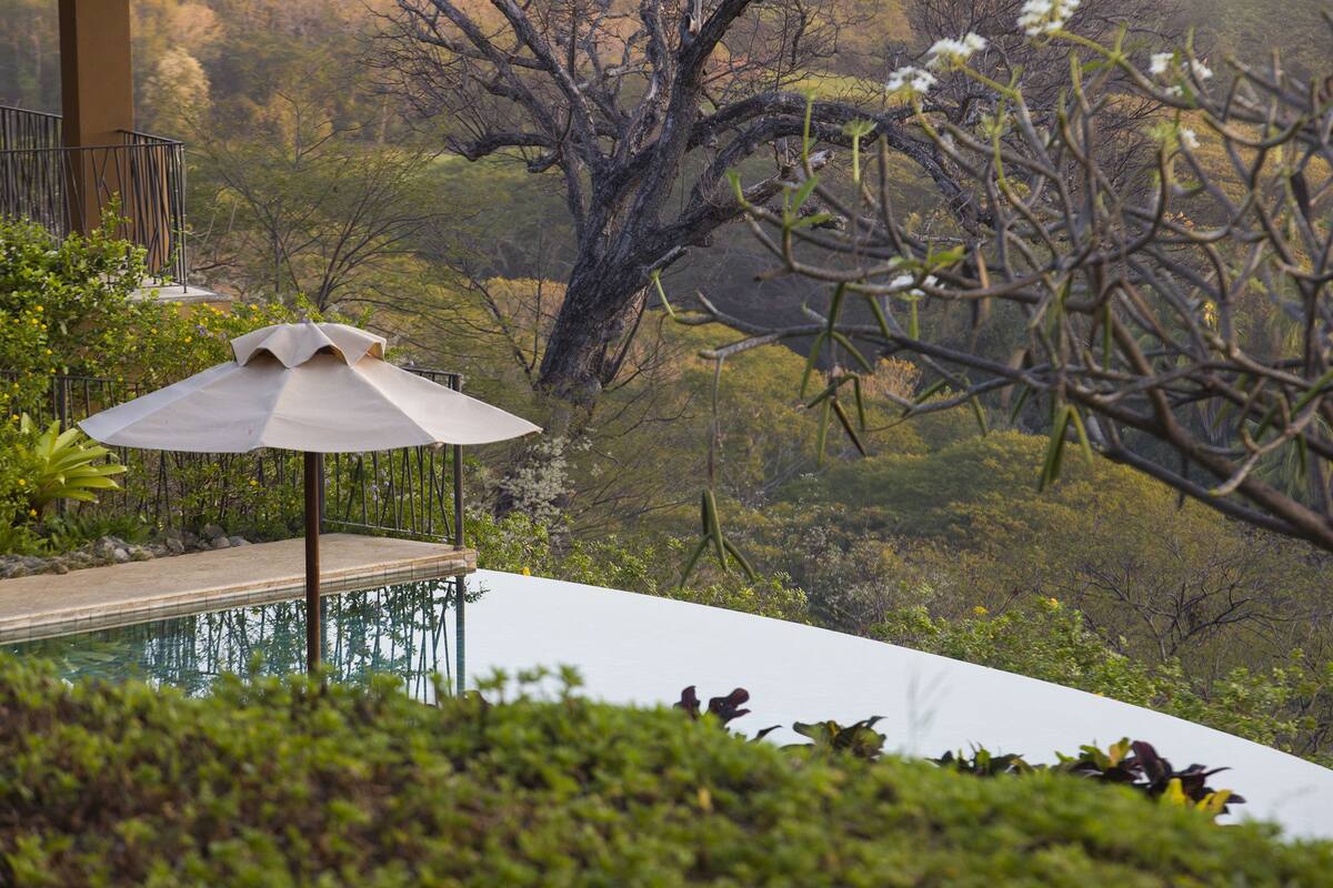 A pool with a white umbrella, surrounded by lush greenery and trees.