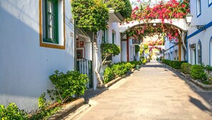 Une rue étroite et ensoleillée, bordée de bâtiments blancs aux ornements bleus et aux volets verts, qui mène à une arche centrale décorée de plantes grimpantes en fleurs.