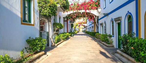 Calle estrecha iluminada por el sol, bordeada por edificios blancos con detalles azules y contraventanas verdes, que conduce a un arco central cubierto de enredaderas con flores.