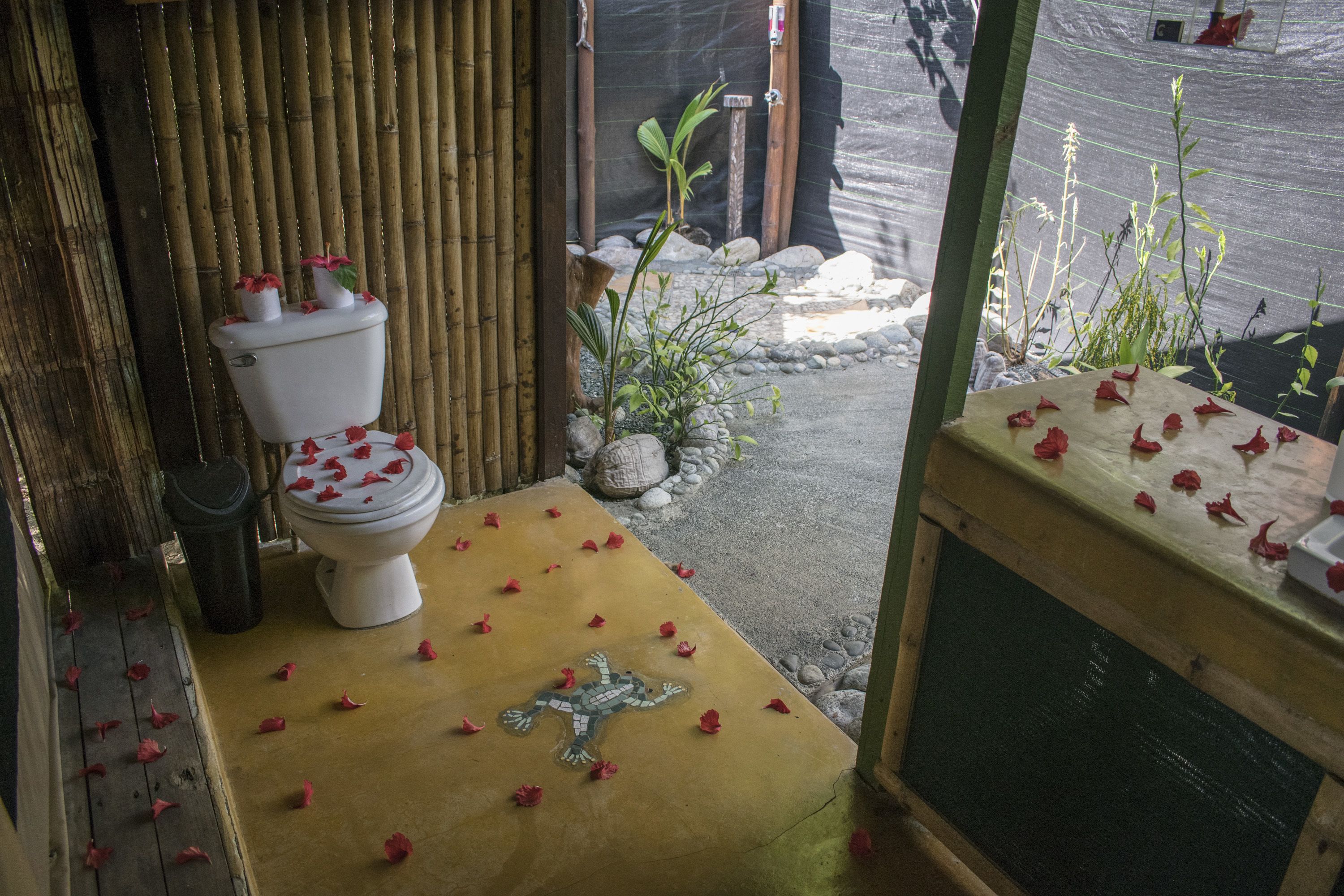 Une salle de bain avec des toilettes, une petite plante et une figurine de grenouille décorative posée sur le sol.