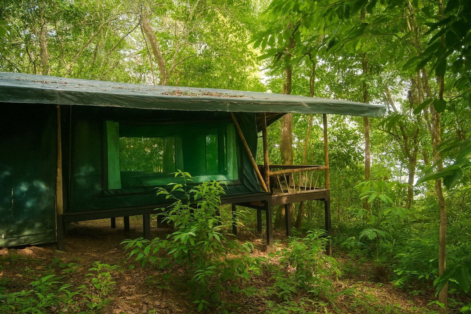 A rustic cabin with a green roof and wooden deck, surrounded by dense forest.