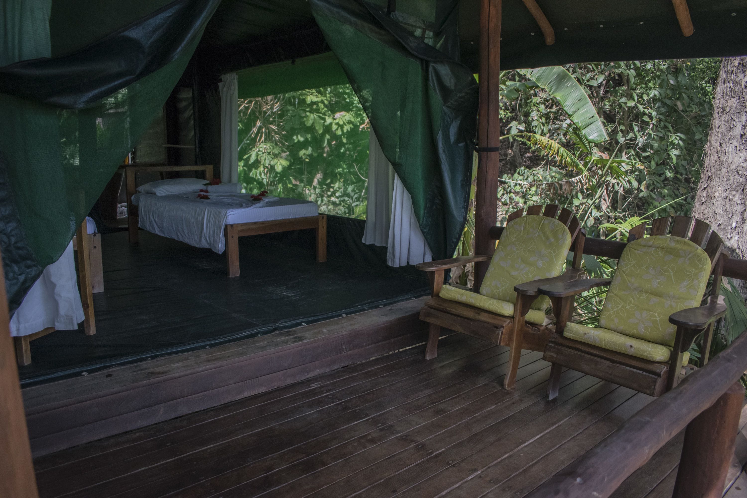 Un hébergement sous tente comprenant un lit, une chaise et une vue sur la forêt environnante.