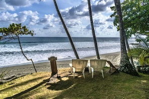 View from room - La Leona Eco Lodge (Puerto Jiménez)