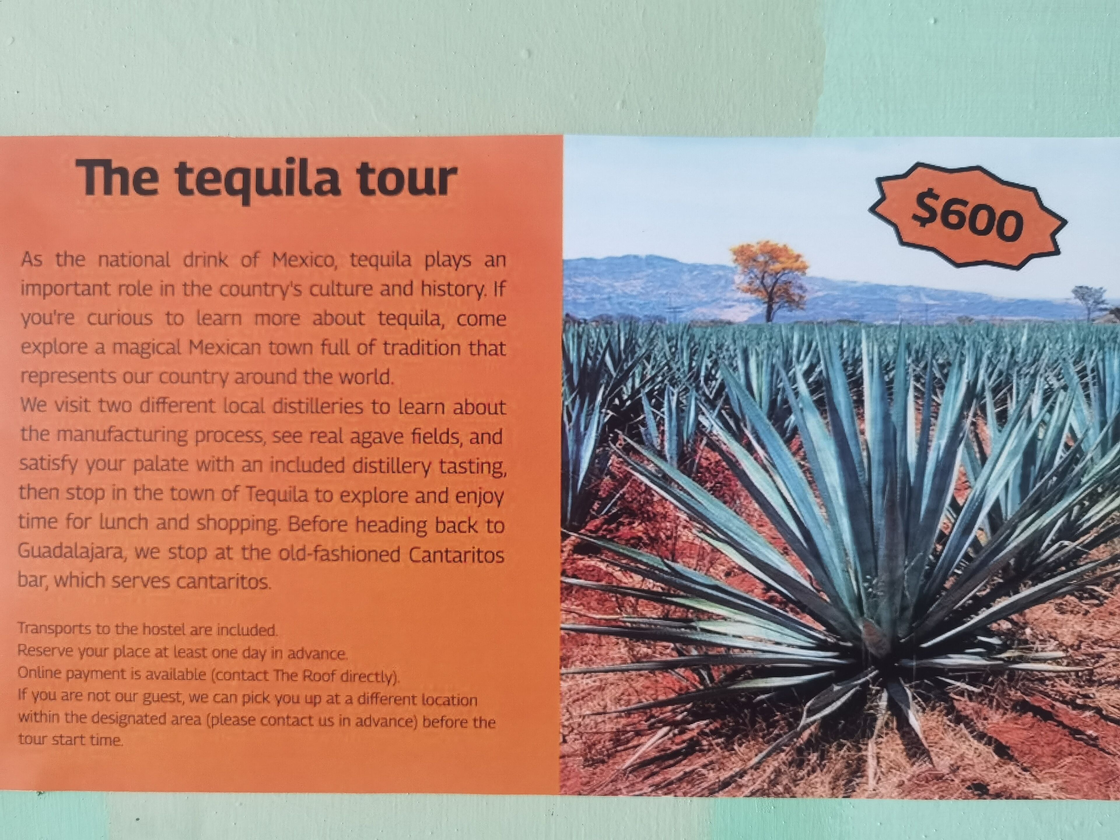 Foto - The Roof Backpackers