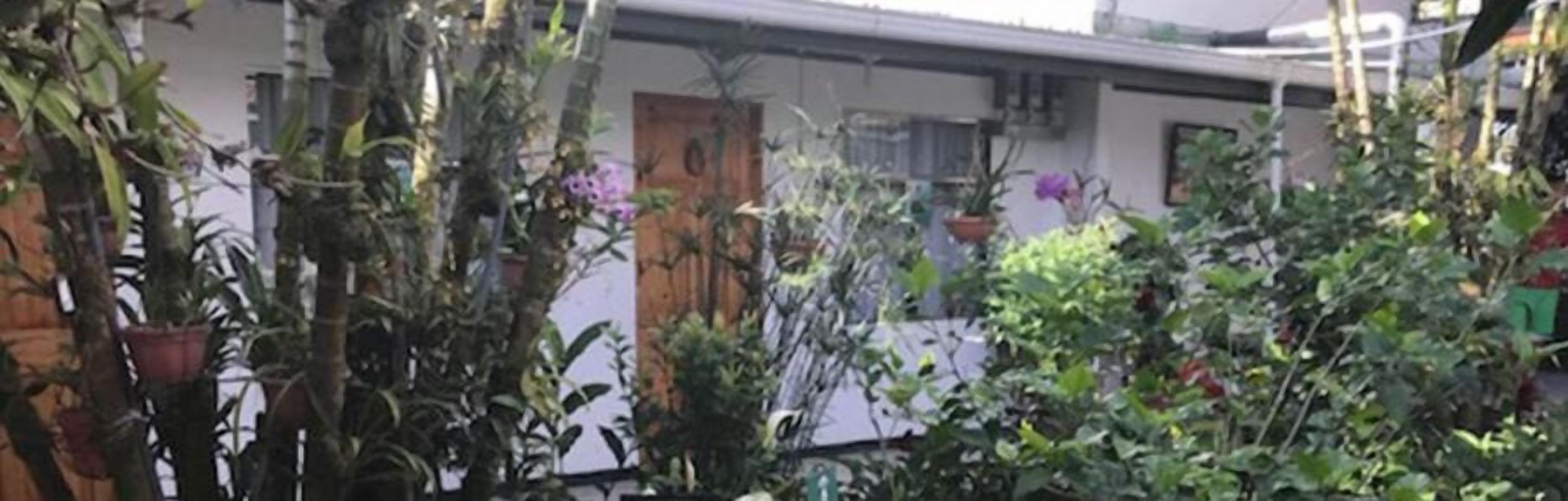 A building with a white exterior and a wooden door. There are various potted plants and flowers around the building.