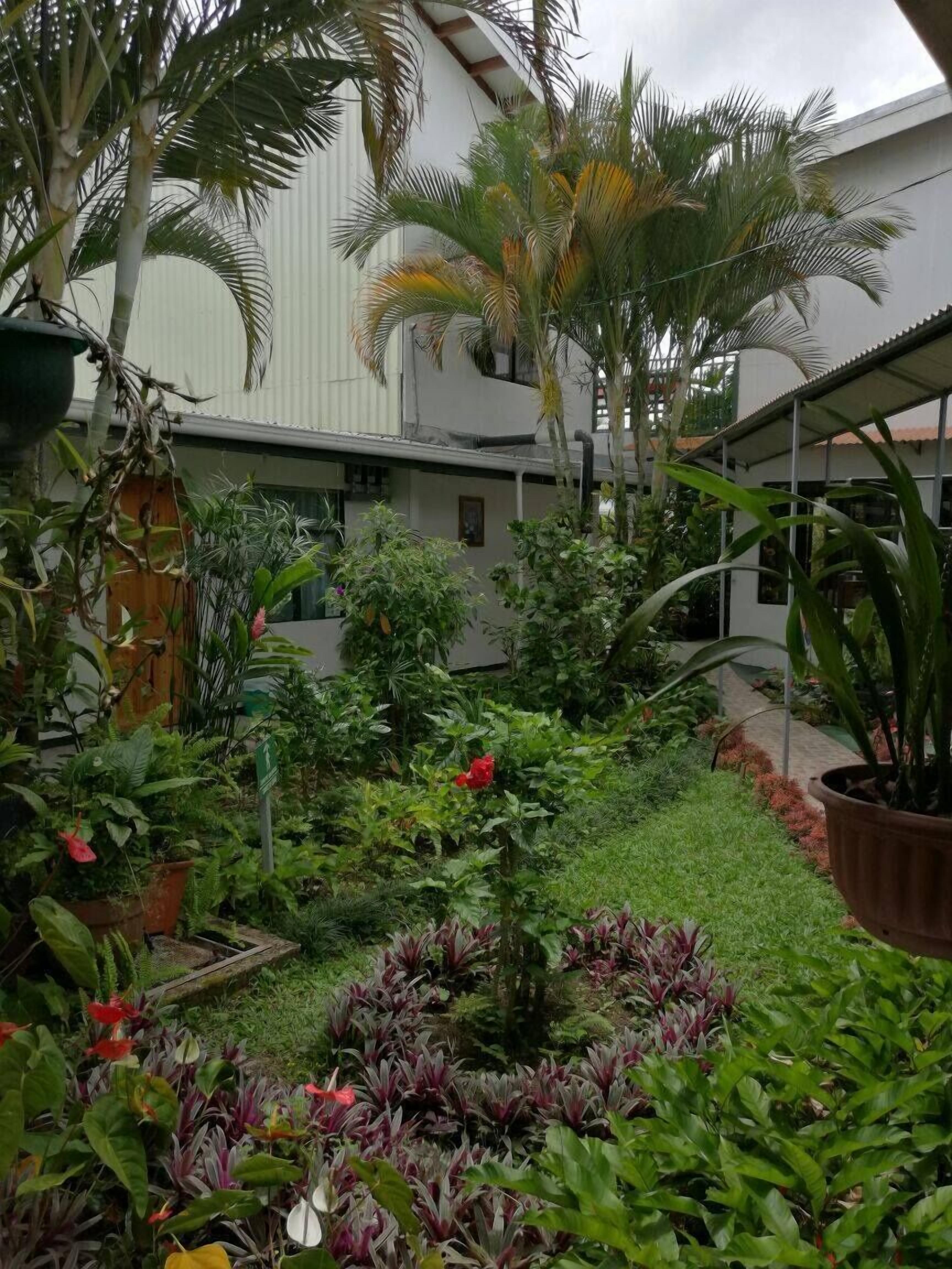 Un jardín exuberante con diversas plantas y un edificio al fondo.