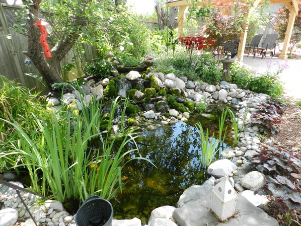 A garden with a pond, rocks, and various plants.