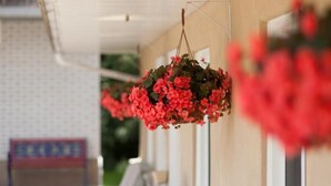 Un porche cubierto con cestas de flores colgantes y bancos de metal azules.