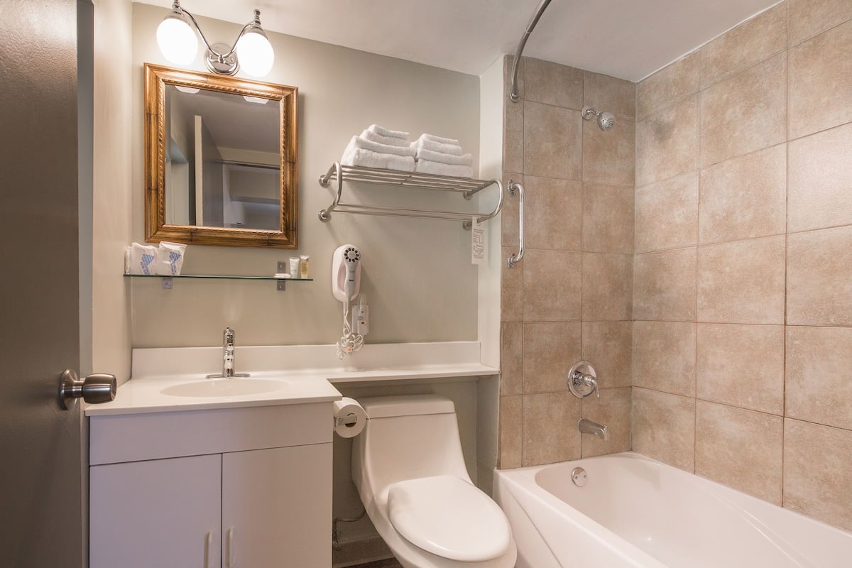 standard room, 1 king bed | bathroom | combined shower/bathtub, free toiletries, hair dryer, towels