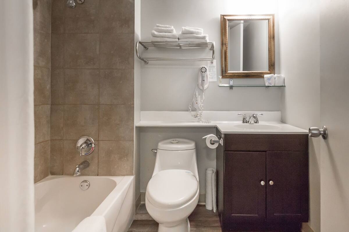 combined shower/bathtub, free toiletries, hair dryer, towels