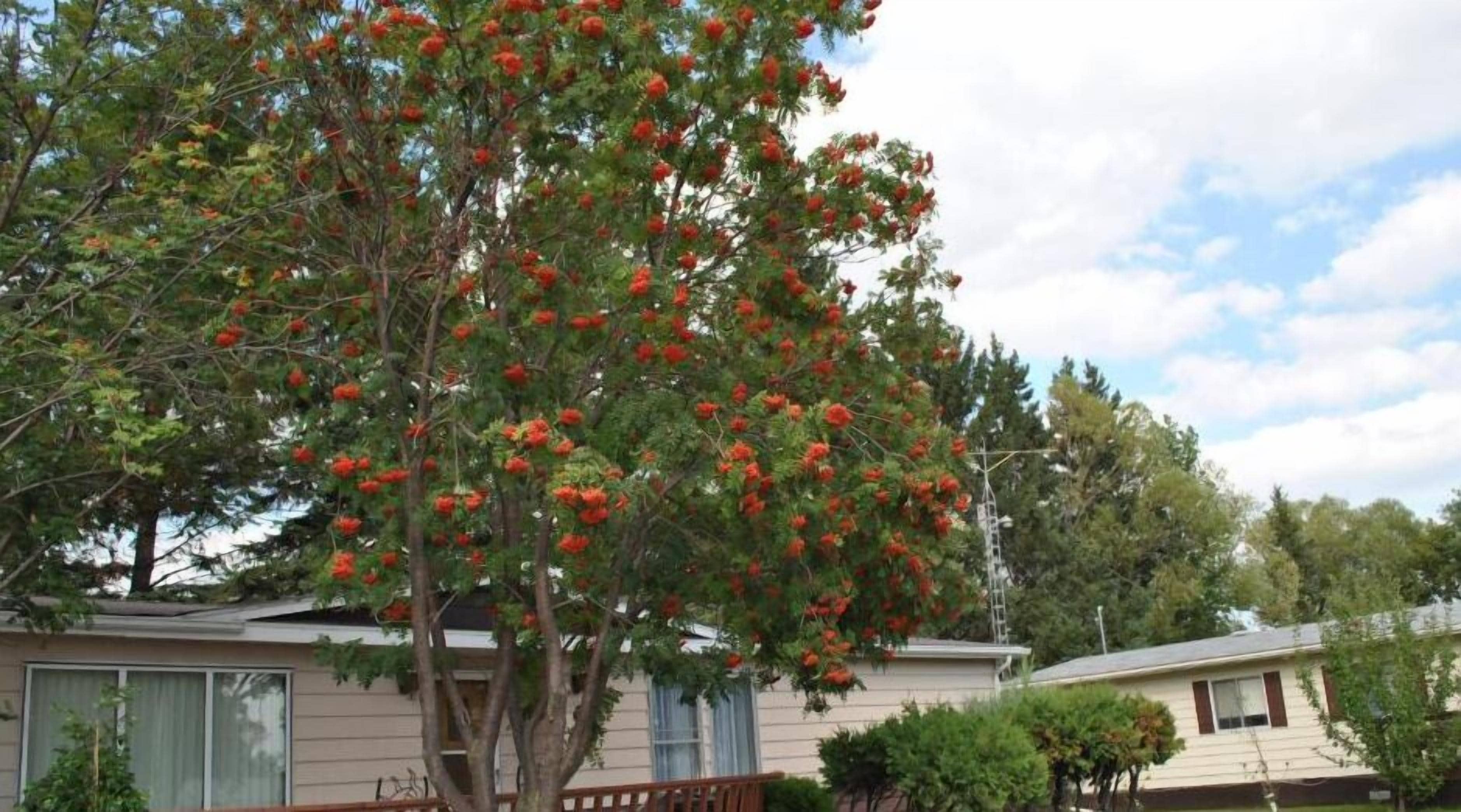 Khuôn viên nơi lưu trú