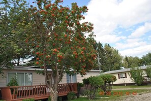 Property grounds - Neepawa motel (Neepawa)